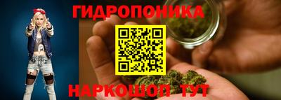 хмурый Гусь-Хрустальный